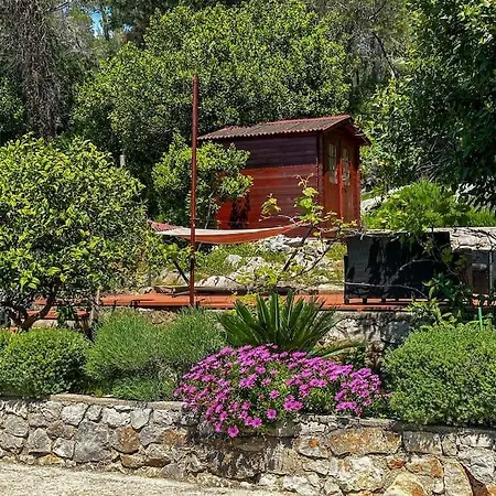 Lejlighed Seaside Garden Losinj Mali Lošinj